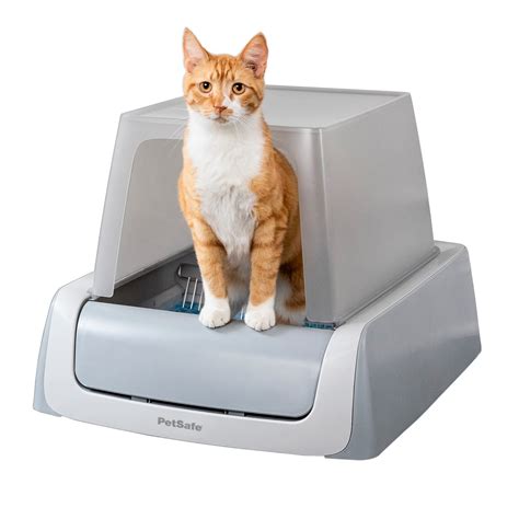 electric cleaning litter box|litter box with out scooping.